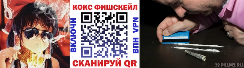 Cocaine FishScale  цены наркотик  Пушкино 