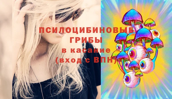 эйфоретик Медвежьегорск