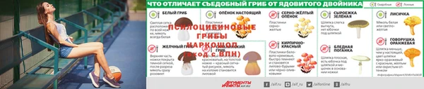 эйфоретик Медвежьегорск