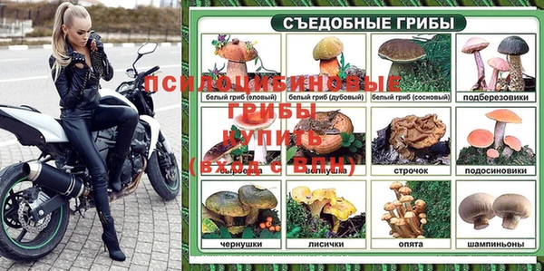 mdpv Медногорск