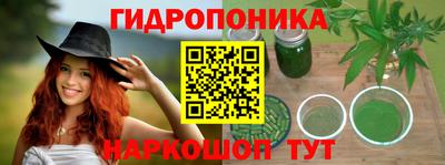 амф Краснознаменск