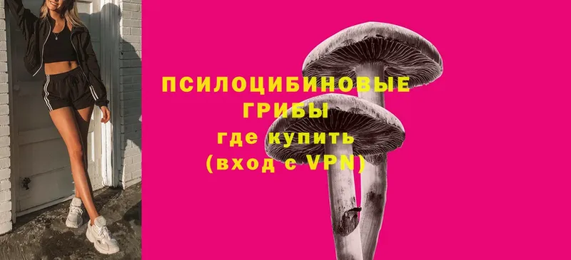 Галлюциногенные грибы Cubensis  Пушкино 